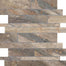 Evolution in Earth Strip Tile