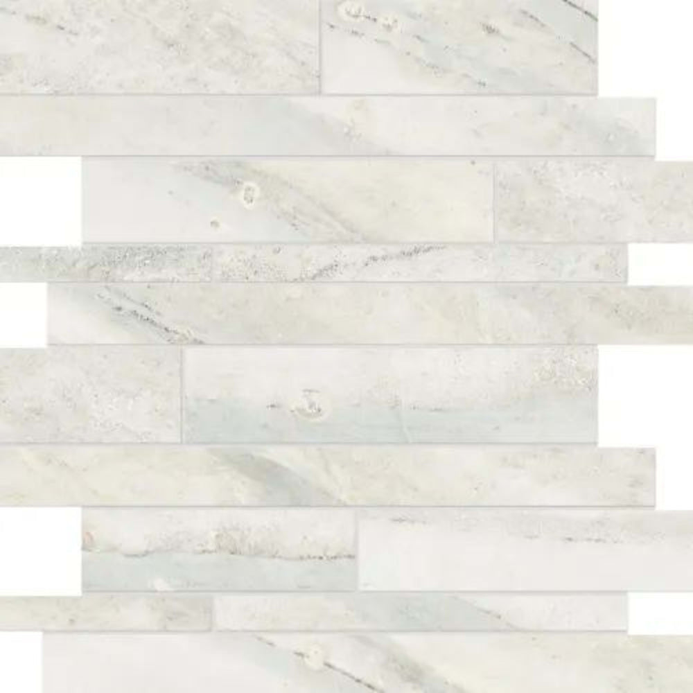 Evolution in Ice Strip Tile