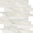 Evolution in Ice Strip Tile