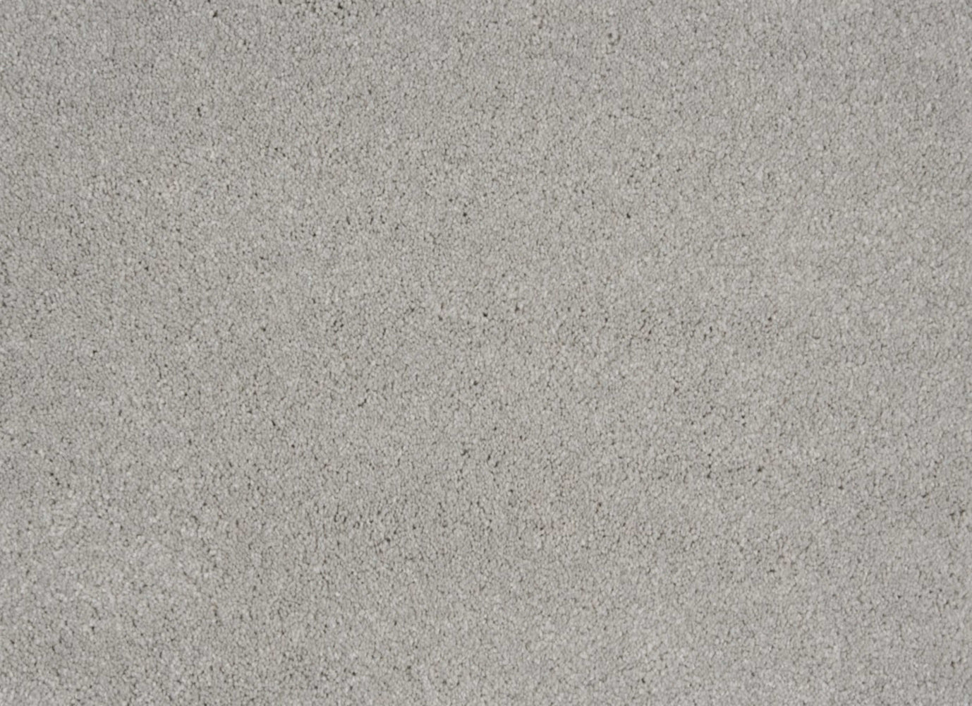 Evolve in Chrome Carpet