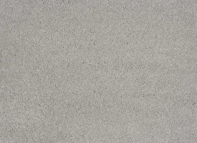 Evolve in Chrome Carpet