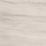 Sandstorm in Kalahari 12"x24" Tile