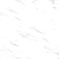 Serendra in Zara-31x31-Polished Tile