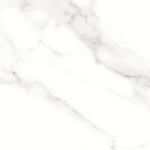 Contessa in Dama Chamfered - 12x24 Tile