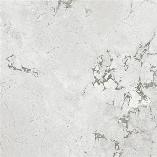 Newport in Harbor - 12x24