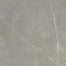 Sterlina II in Dove-24x24-Polished Tile
