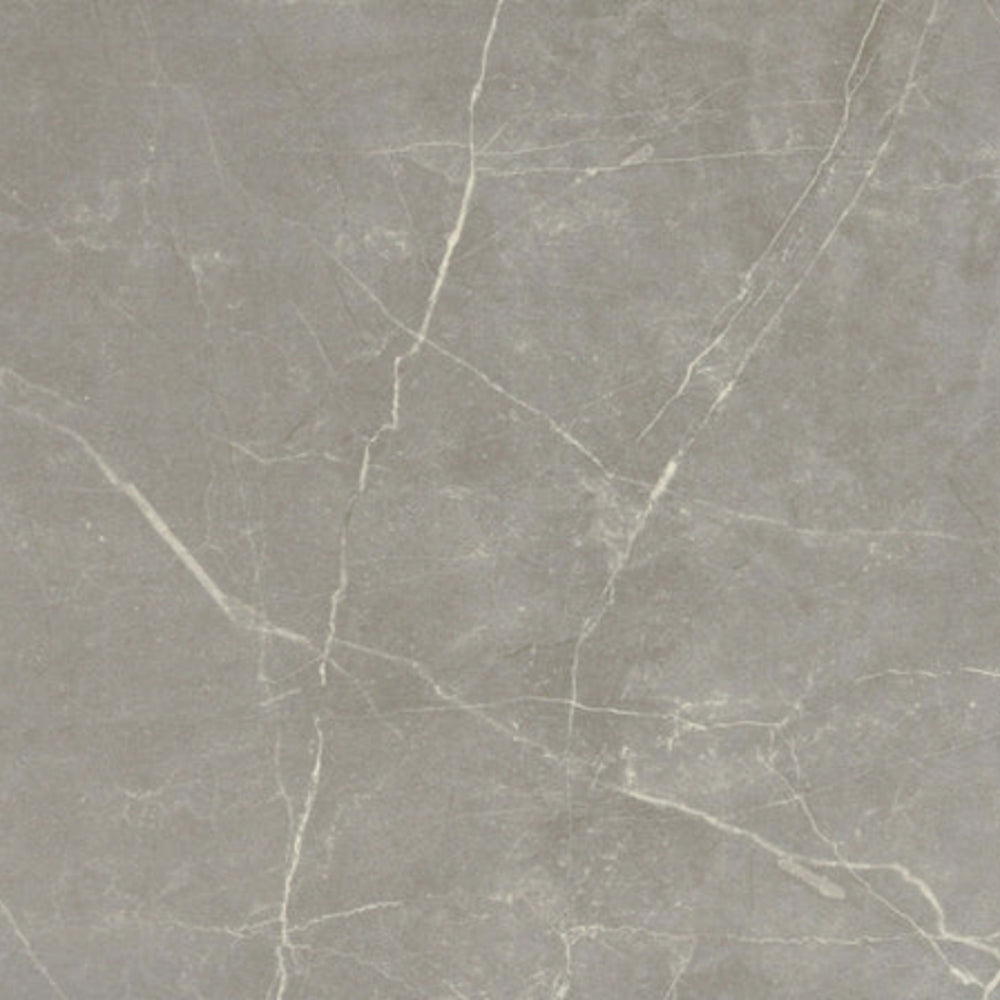 Sterlina II in Dove-12x24-Matte Tile