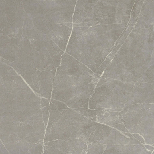 Sterlina II in Dove-12x24-Matte