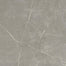 Sterlina II in Dove-12x24-Matte Tile