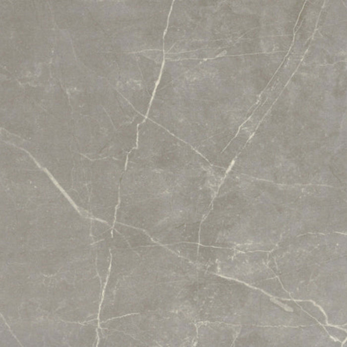 Sterlina II in Dove-24x47-Matte Tile