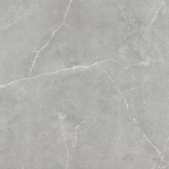 Sterlina II in Gray-12x24-Matte