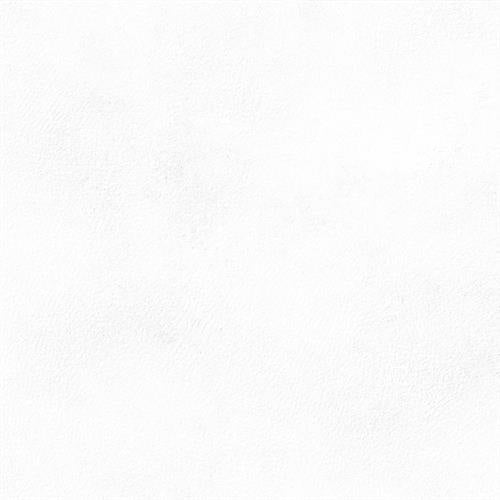 Citizen in Civilian - 12x24 Matte Tile