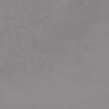 Citizen in Subject - 24x48 Lappato Tile