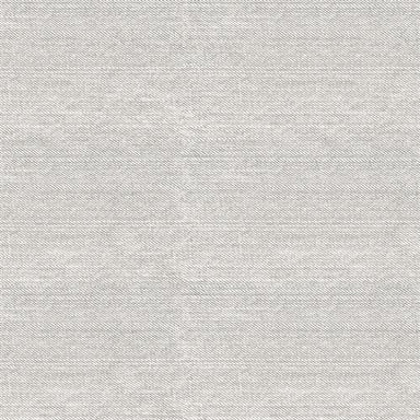 Dunham in Rajmata 12"x23" Tile