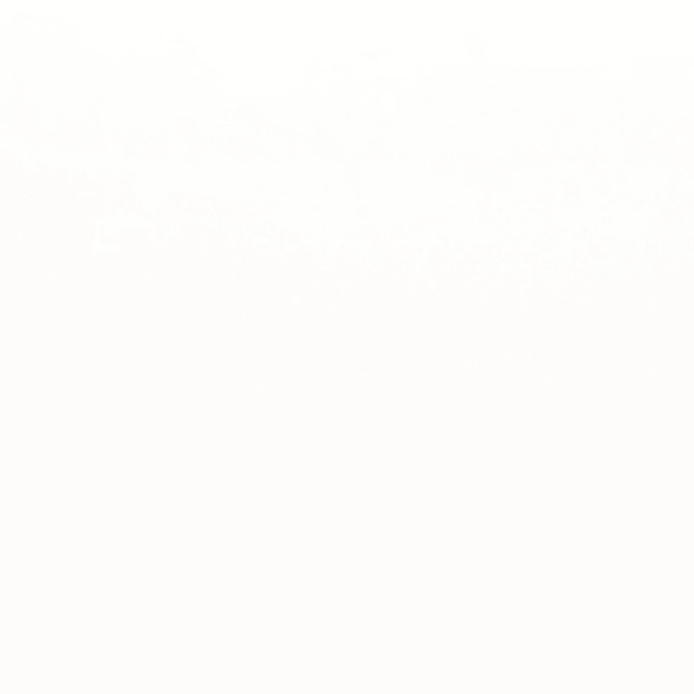 Style II in Pure White Matte 12" X 24" Tile