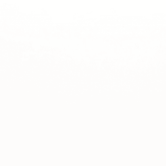 Style II in Pure White Matte 12" X 24"