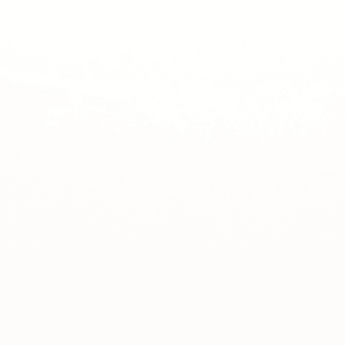 Style II in Pure White Matte 12" X 24" Tile