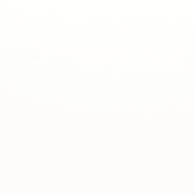 Style II in Pure White Polished 12" X 24" Tile