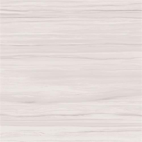 Ciudad in Ash 12"x24" Tile