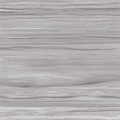 Ciudad in Gray 12"x24" Tile