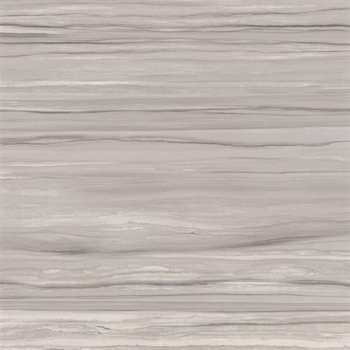 Ciudad in Taupe 12"x24" Tile
