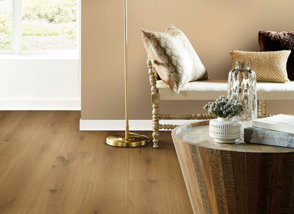 Chateau in Montresor