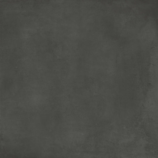 Form in Graphite 8x8