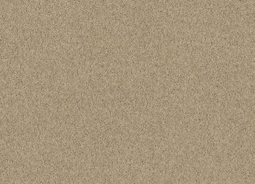 Baked Sand