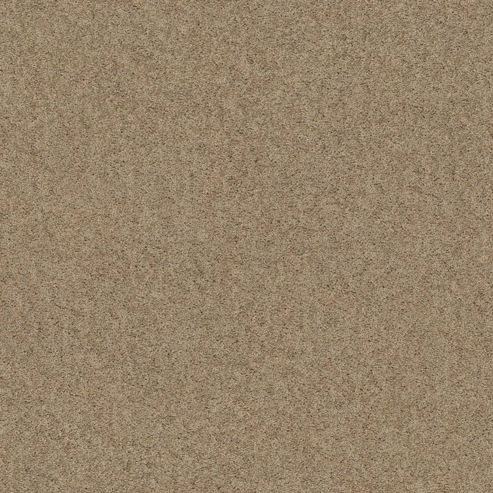 BETHANY PLACE in Toast Carpet