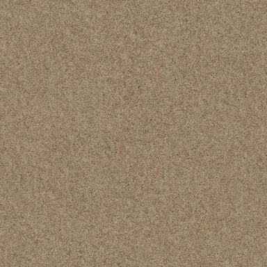 BETHANY PLACE in Toast Carpet