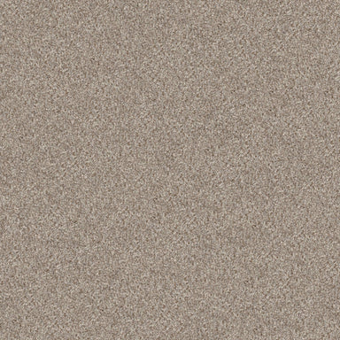 AMBERCREST in Beach House Carpet
