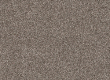 English Oak