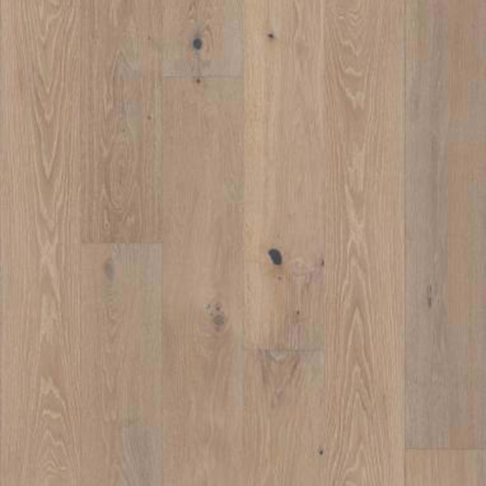 CAMARGO in Bolero Hardwood