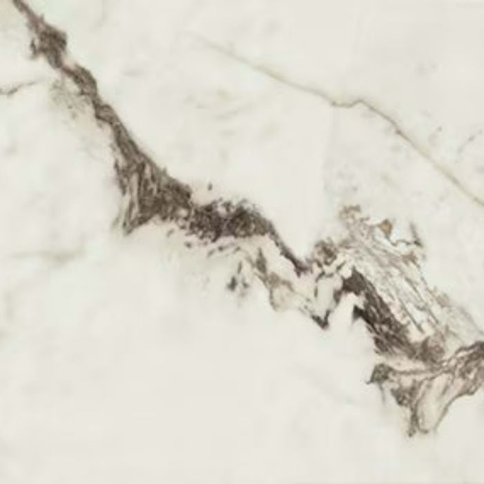 Foyer in Summit-24x48-Matte Tile