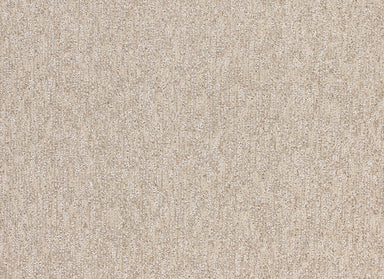 Fairview in Desert Carpet