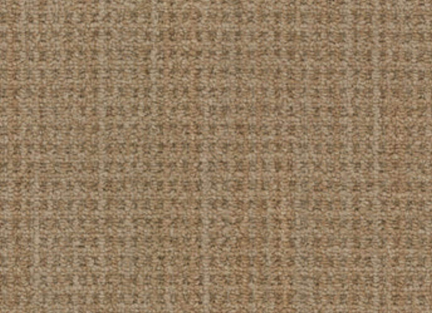 Winslow in Flagstaff Carpet