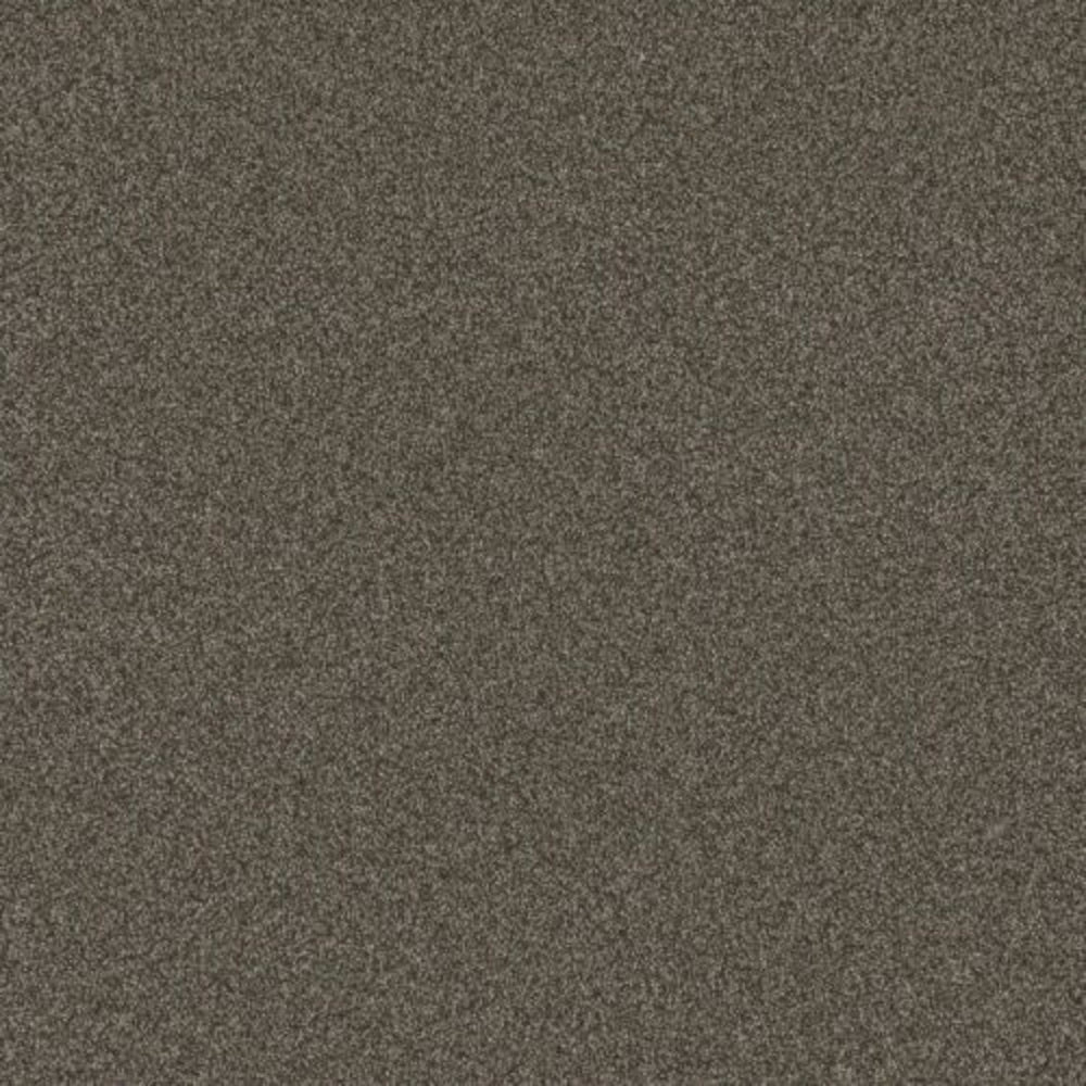 BLAZER II in French Roast Carpet