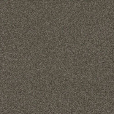 BLAZER II in French Roast Carpet