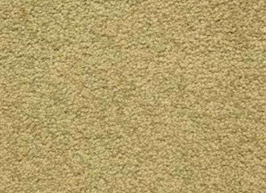 Cortana in Dakota Carpet