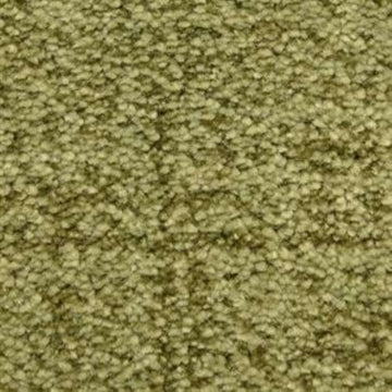 Bermuda Grass