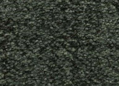 Mystique in Showstopper Carpet