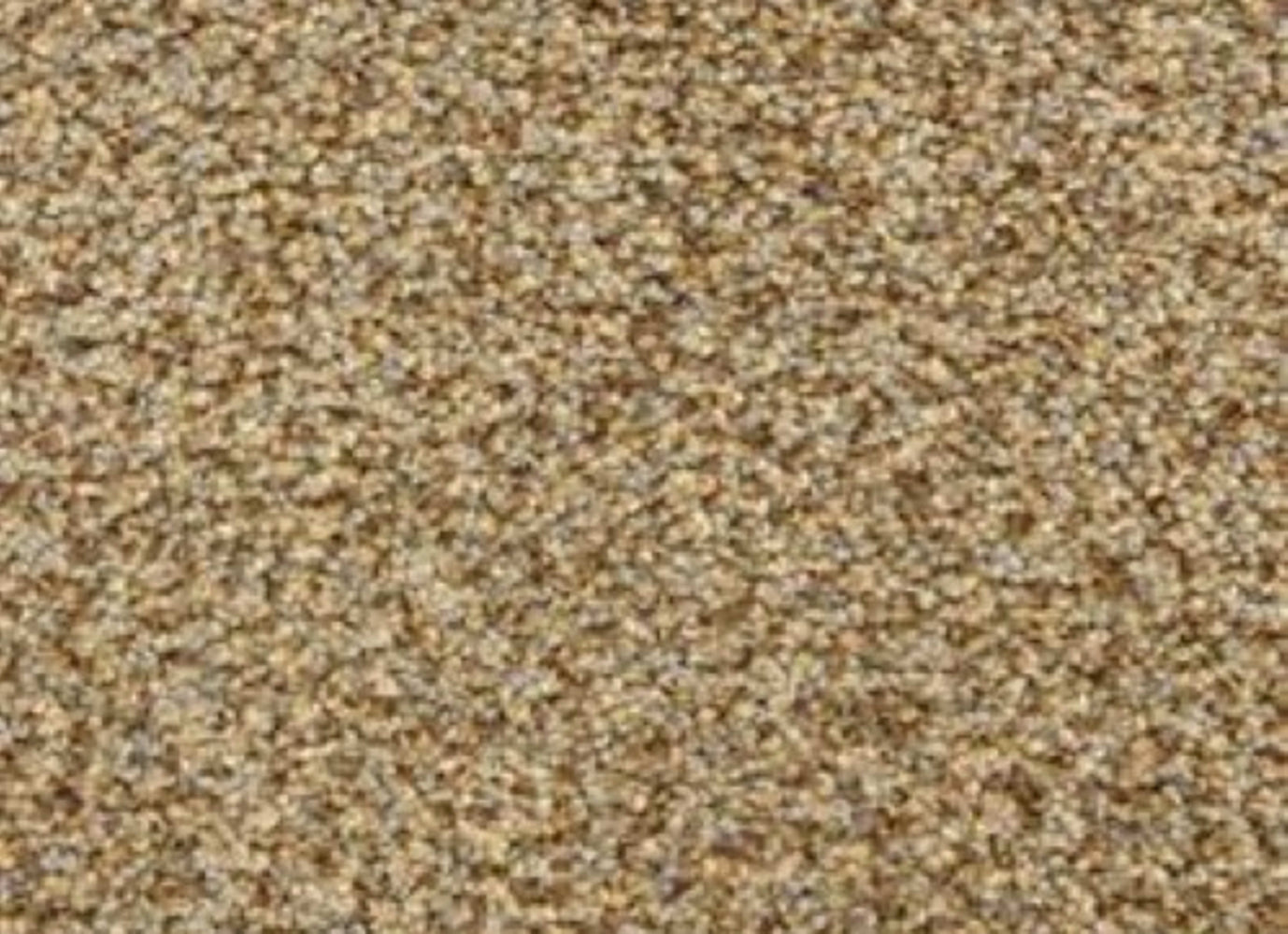 Colorworks in Impressionist Carpet