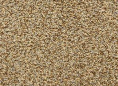 Colorworks in Impressionist Carpet