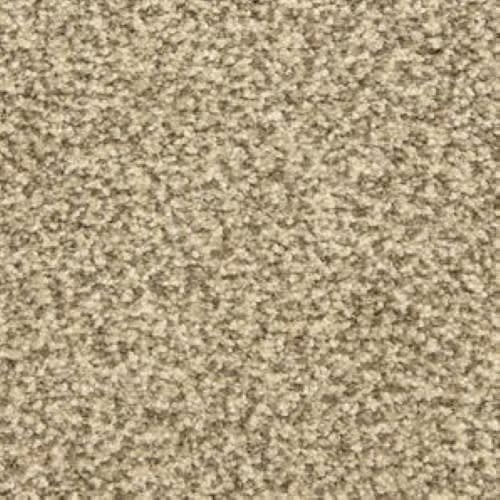 Colorworks in Grey Scale Carpet