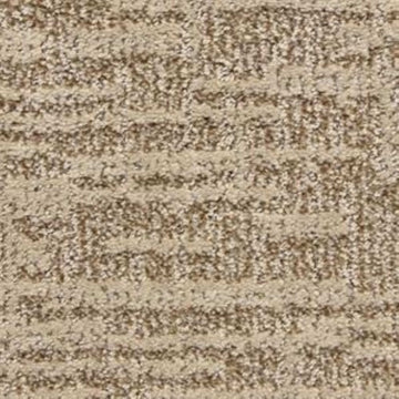 Sandbark