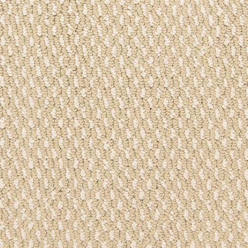 Larson in Marigold Carpet