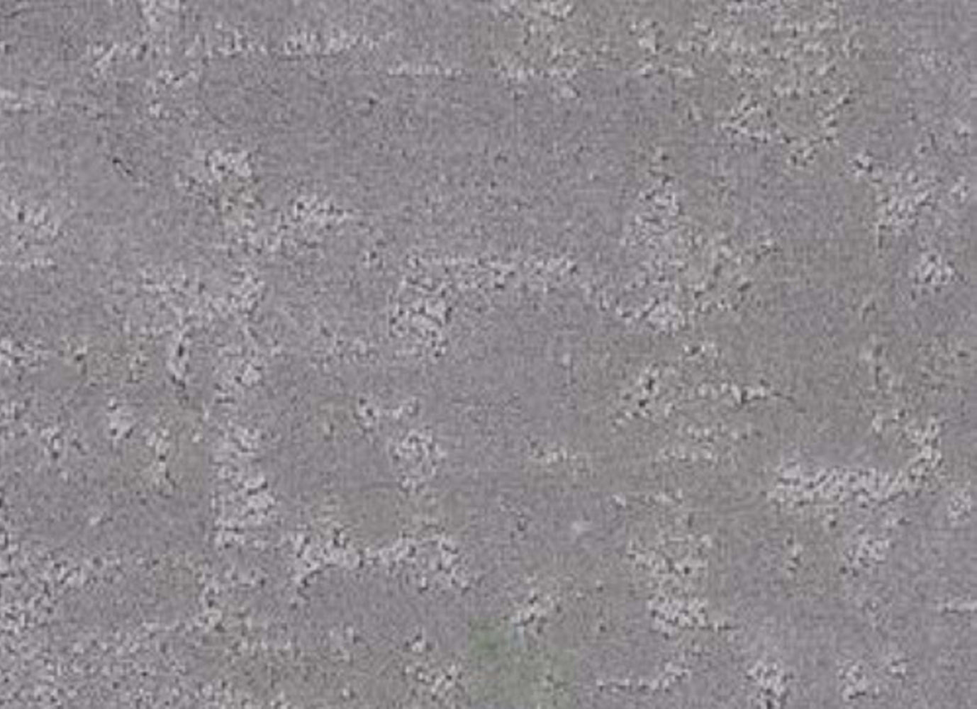 Eminence in Outer Banks Carpet