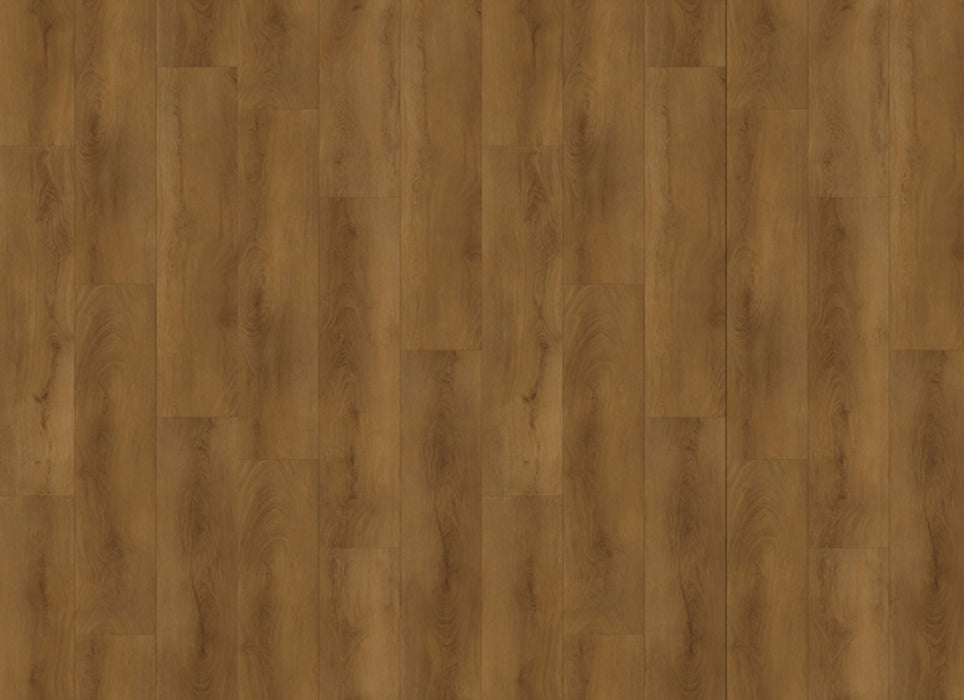 Grandeur Collection in Van Cortland