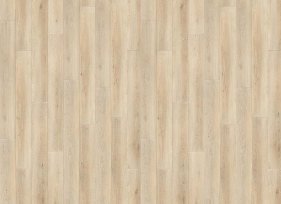 Grandeur Collection in Ashville