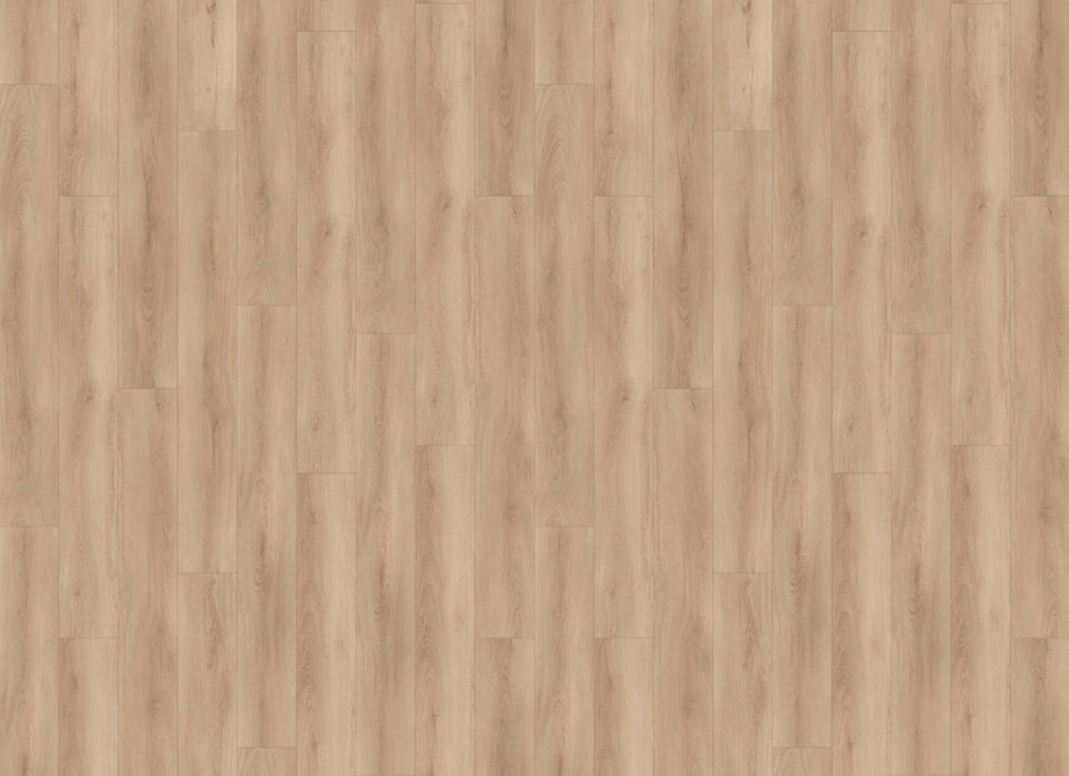 Grandeur Collection in Stonington